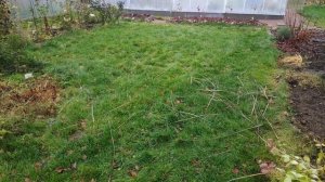 73- ДАЧА .обработка  всего сада фунгицидом  часть 1 (31.10.-01.11.21)