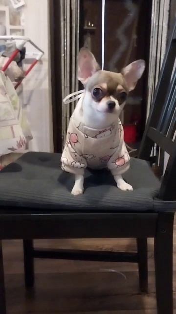 Манекки приветик нам прислала.