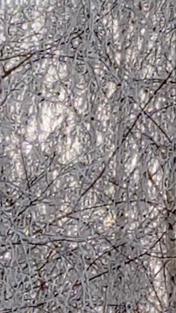 Морозный закат😍😍😍 смотреть онлайн