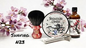 Бритье N23: Колибри OC 1.3 HLS. Сливовый Дзен и немного Вознесенья.