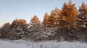 Зимняя красота.   18.01.26