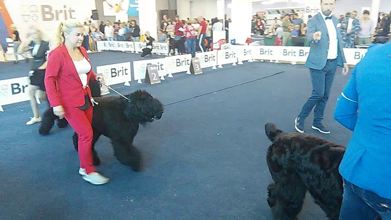 VID 20180819 154429