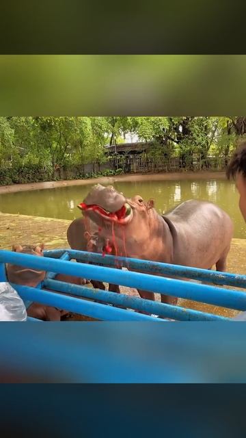 1000102630.mp4 смотреть онлайн