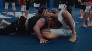 Реакция в зале на Д'Арсе Ислама Махачева 🔒🐍