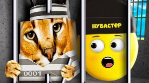 НОВЫЙ ПОБЕГ ШЛЕПЫ ИЗ ТЮРЬМЫ В ROBLOX