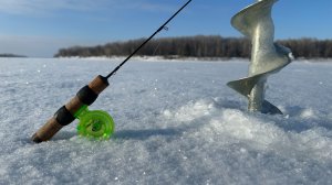 С этой блесной всегда будете с рыбой. Крупный окунь на блесну. Зимняя рыбалка 2026