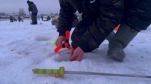 Поимка на поставушку