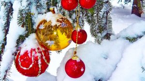 Зимний праздник в лесу.