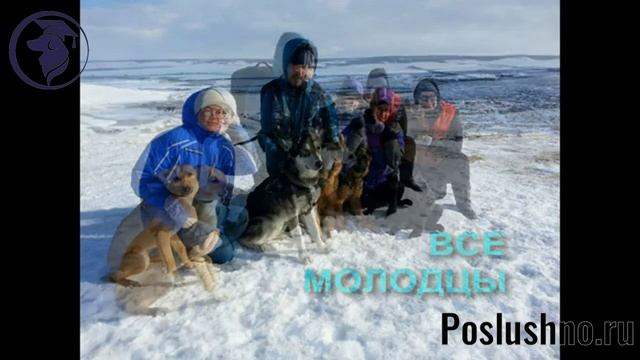 Путешествия с собакой. Кинолог Игорь Алтайский.