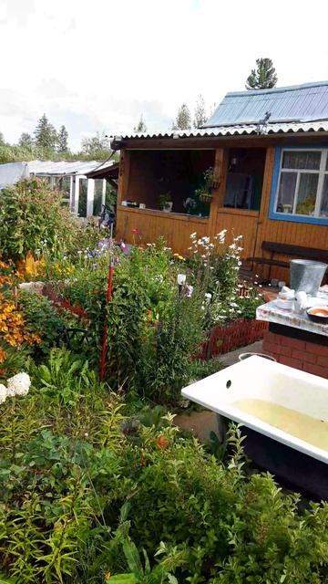 Дача под Красноярском смотреть онлайн