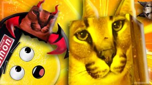 ХВАСТАЮСЬ РЕДКИМИ ШЛЕПАМИ В РОБЛОКСЕ! НУБАСТЕР