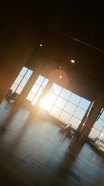 VID_20260117_091458.mp4