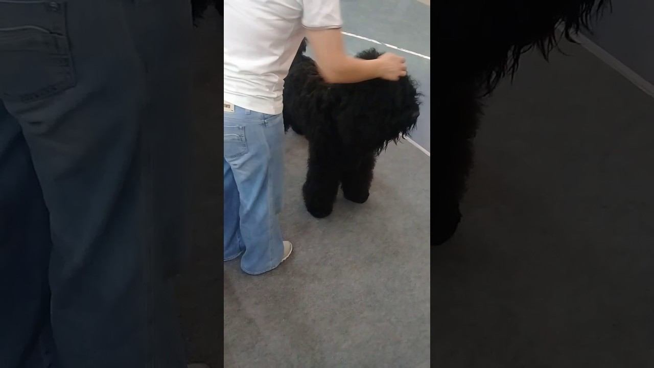 20170604 1122282 смотреть онлайн