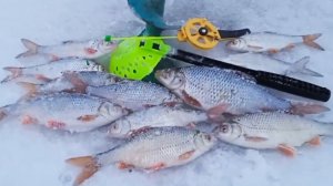 Безмотылка и подводная камера Язь 52 компакт 9.