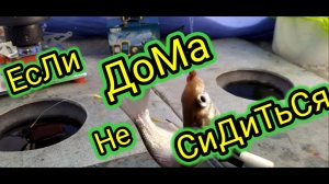 РыБаЛкА вЫхОдНоГо ДнЯ..Январская рыбалка