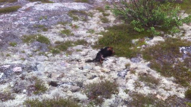 © "Эри Великолепная. Кузова 2012. IMG_4273