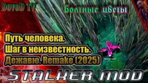 Где искать Болотные цветы. Путь человека. шаг в неизвестность. дежавю. remake(2025). Сталкер.