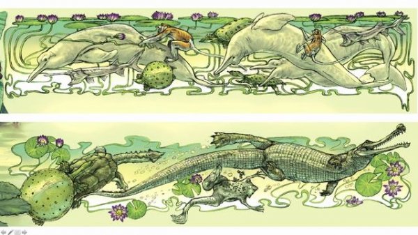 02. Fish, Amphibians, and Reptiles 05