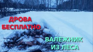 Жизнь в деревне Как правильно хранить валежник и как нужно им топить печь