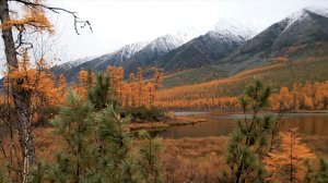 История Забайкалья