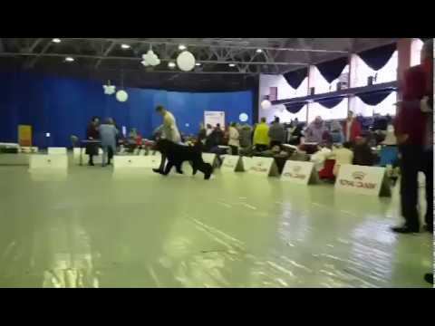 video 1513325467 1 смотреть онлайн
