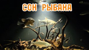 РЫБАЦКИЕ СНЫ