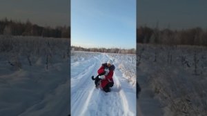 Зооледи🐕Екатерина 🌹🌹🌹Питомник Кун прайд 🔥🔥🔥