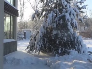 Орловка, 17012026