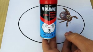 Рефтамид от клещей: максимум защиты от паразитов | Тест эффективности препарата