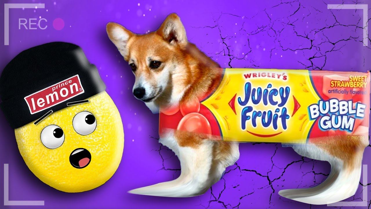 ИСТОРИЯ ПРО СОБАЧКУ 2 Нубастер