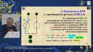 Секция 1 «Глазодвигательная система и бинокулярное зрение: анатомические и физиологические основы»