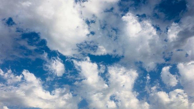 Светлана Сибирская 