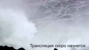 Турнир между ООО "Винета" и ООО "РеилФлагманЛогистик"