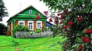 Жизненная история