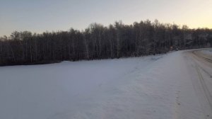 Кто живёт в лесу?  17.01.26