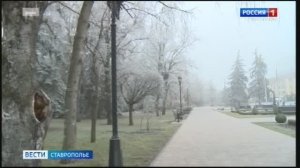 «Вести. Ставропольский край» 17.01.2026 (8.00)