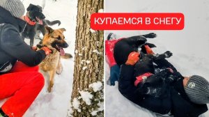 Анапский солнечный и морозный день, прогулка с собаками по пушистому снегу