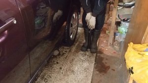 Замена задних амортизаторов Хёндэ Элантра 4