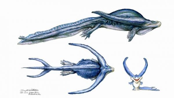 02. Fish, Amphibians, and Reptiles 04