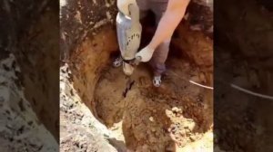 Хорошая лопата 👍