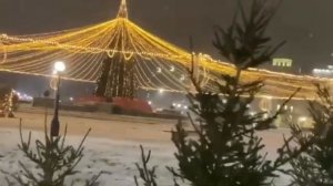 🌲🌲🌲🌲🌲🌲🌲🌲🌲🌲🌲🌲🌲