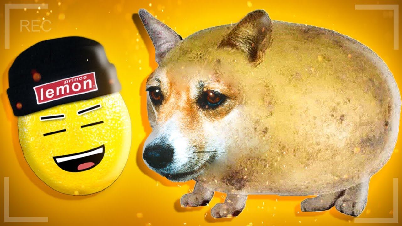 ИСТОРИЯ ПРО СОБАЧКУ! Нубастер