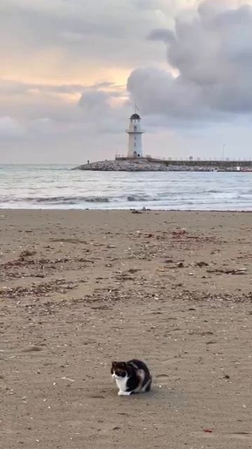 ☦️Святые Отцы о том, как быть, если вас оклеветали?🙏🙏🙏 смотреть онлайн