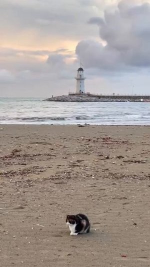 ☦️Святые Отцы о том, как быть, если вас оклеветали?🙏🙏🙏