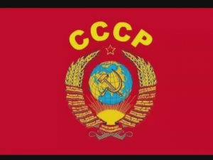 Жизненная позиция кандидата в д------ы