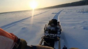 Лыжные покатушки с мотобуксировщиком.🤓✌️⛷️❄️
