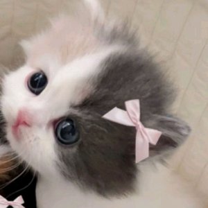 страдаем фигнёй (часть2)