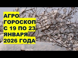 Агрогороскоп с 19 по 23 Января 2026: Важные Советы Садоводам и Огородникам!
