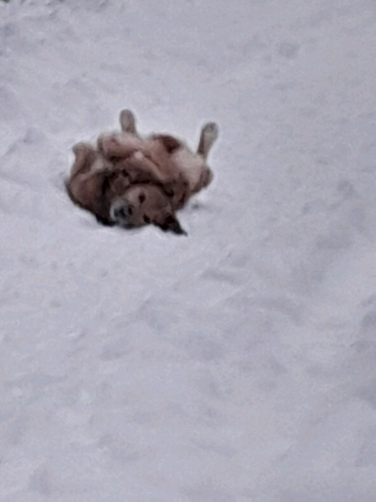 просто смотреть онлайн