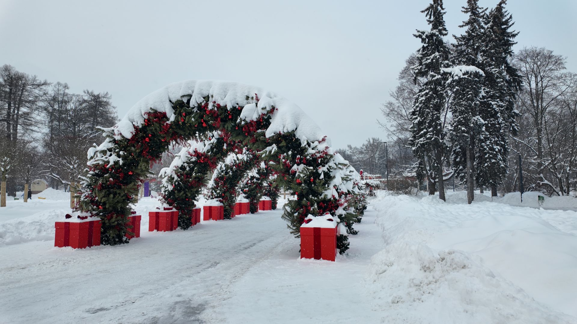 Зима в парке Сокольники Москва